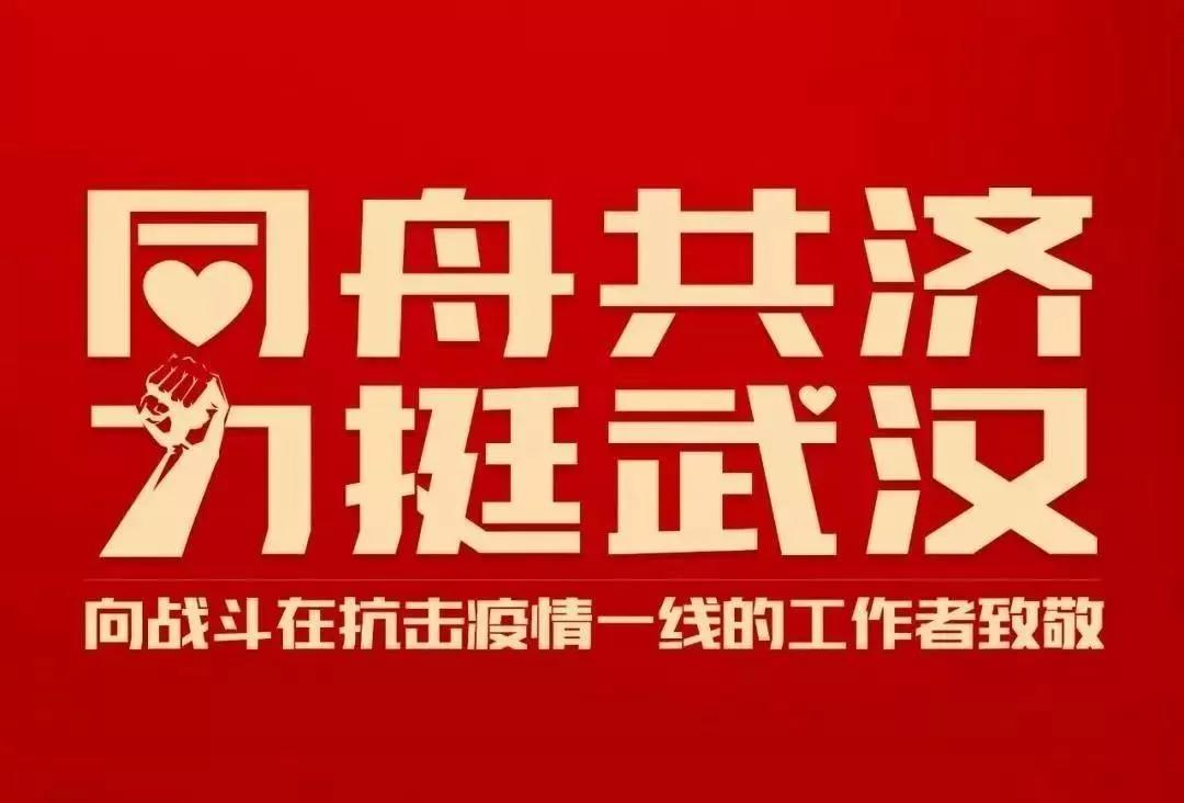 同舟共济、力挺武汉、万众一心